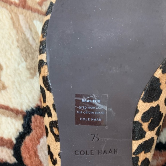 Slides - Picture 3 of 4